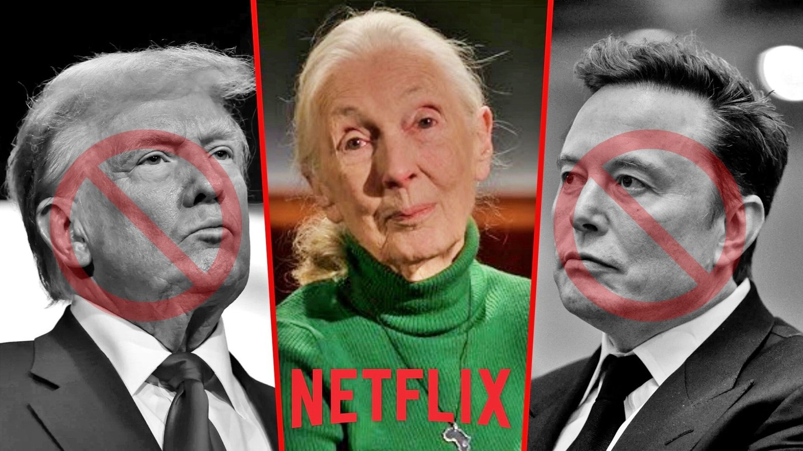 Jane Goodall dejó un mensaje para Elon Musk antes de su muerte: “Claro que sí, él sería el anfitrión”