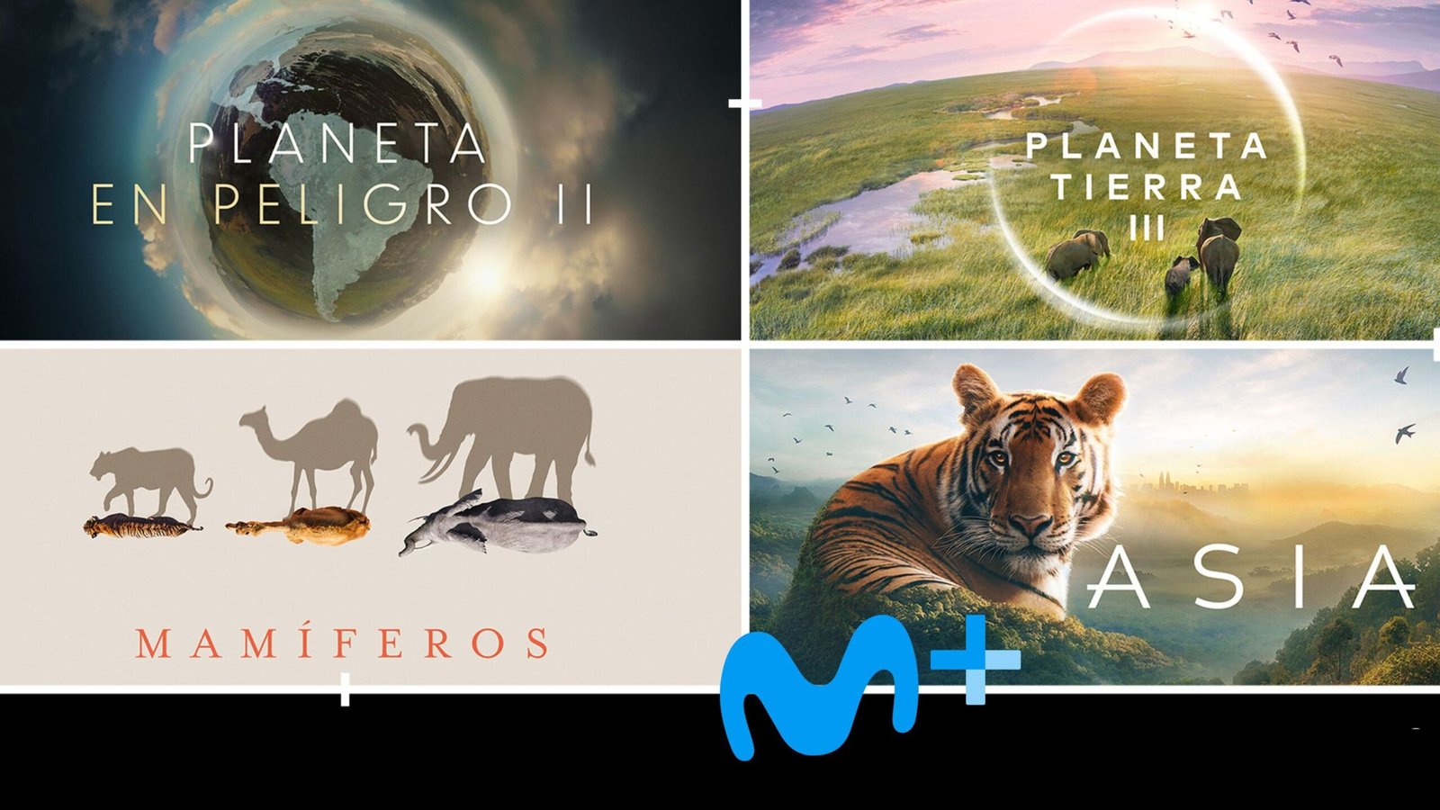 Movistar Plus+ tiene un regalo para sus clientes: nuevos canales y el lanzamiento en España de BBC Player