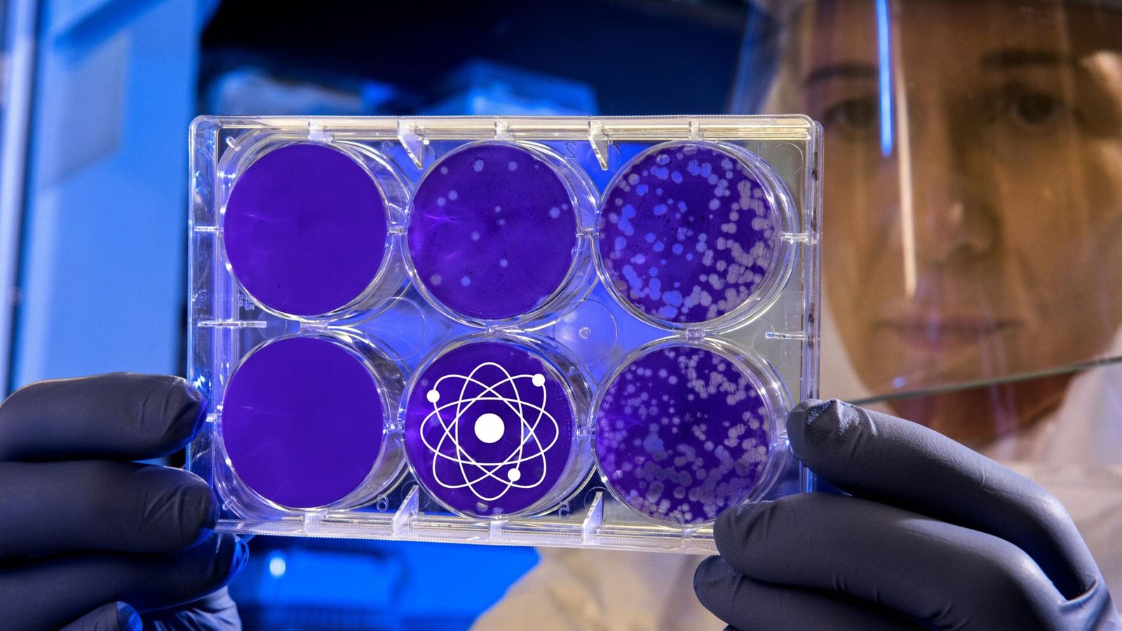 Parece mentira pero no lo es: las partículas que no existen son clave para entender la realidad