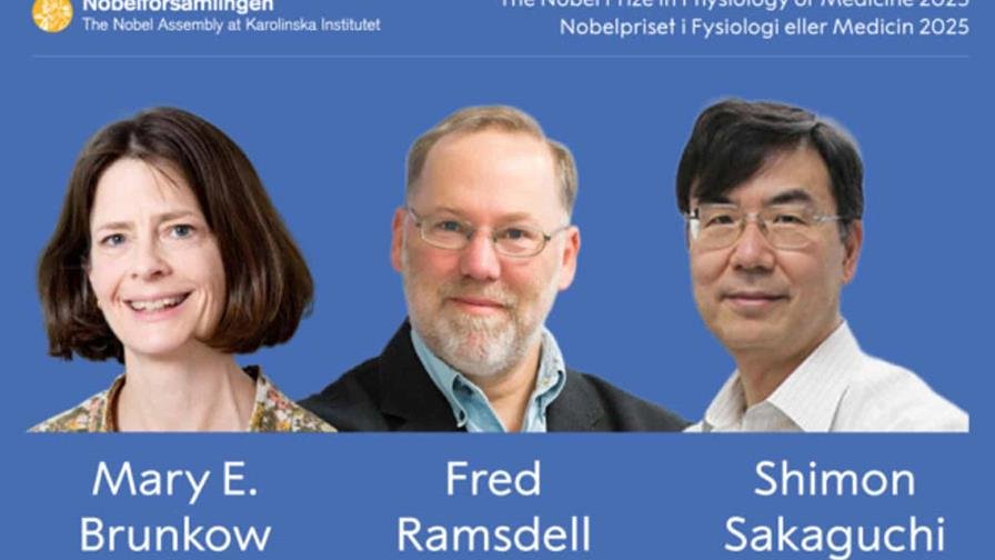 Premio Nobel de Medicina: por qué descubrir la tolerancia inmunológica periférica es importante