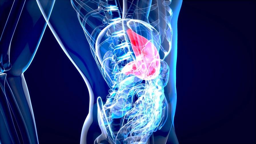 Un hidrogel actúa de barrera física y evita complicaciones tras cirugías abdominales