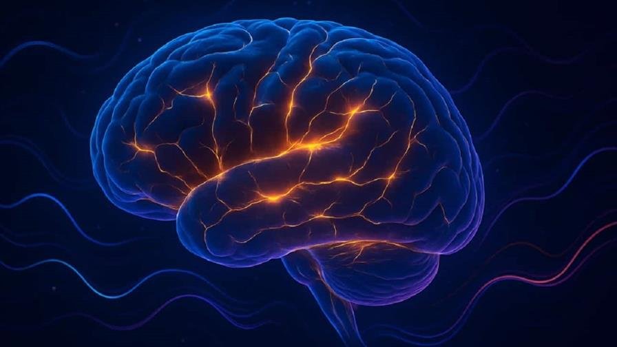 Un nuevo compuesto da resultados prometedores para el tratamiento de lesiones cerebrales