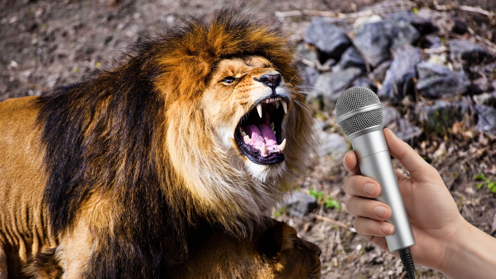 Usando una simple grabadora, biólogos descubren el animal que más pánico causa en África, y no es el león ni la hiena