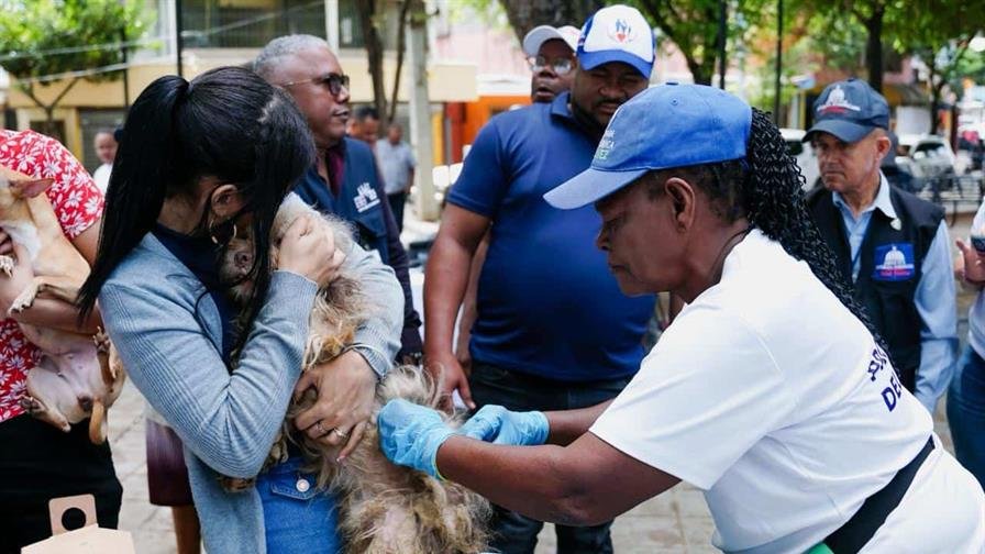 Realizarán jornada nacional de vacunación antirrábica para perros y gatos