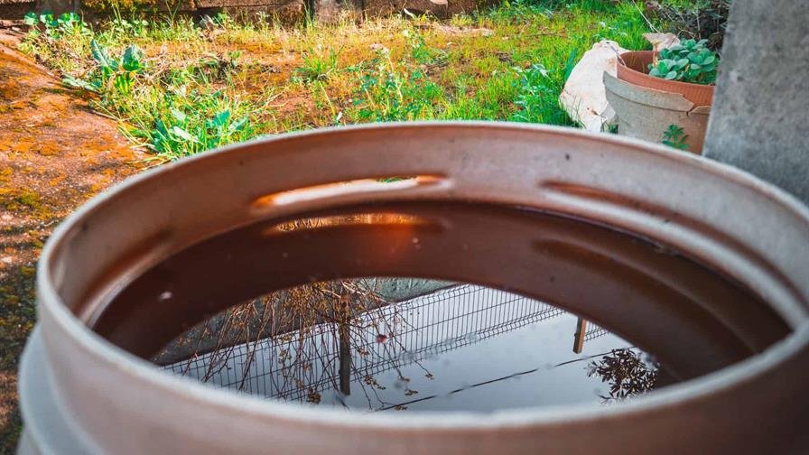 República Dominicana cierra el 2025 con cero muertes asociadas al dengue