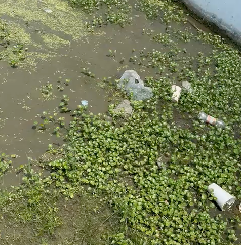 Denuncian enorme hoyo y aguas residuales próximo a cementerio de San Francisco de Macorís