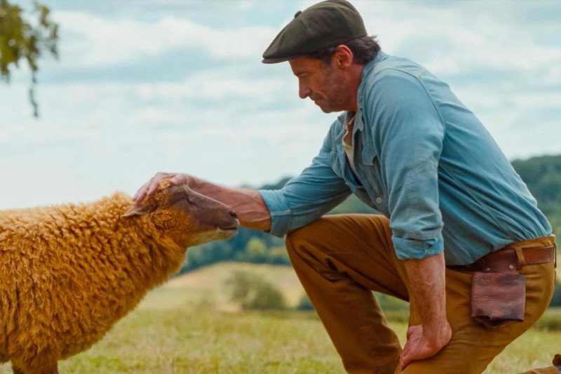 Hugh Jackman encuentra algo profundamente humano en “The Sheep Detectives”