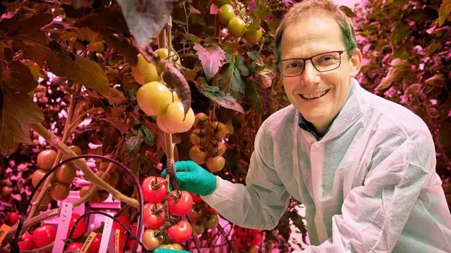 La revolución tecnológica del “food valley”: cómo Países Bajos logró ser el tercer exportador mundial de alimentos con un territorio tan pequeño
