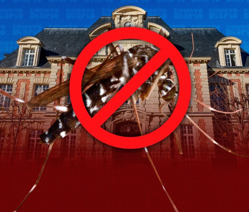 Instituto Pasteur impulsa nueva vacuna contra el chikungunya con apoyo millonario de la UE