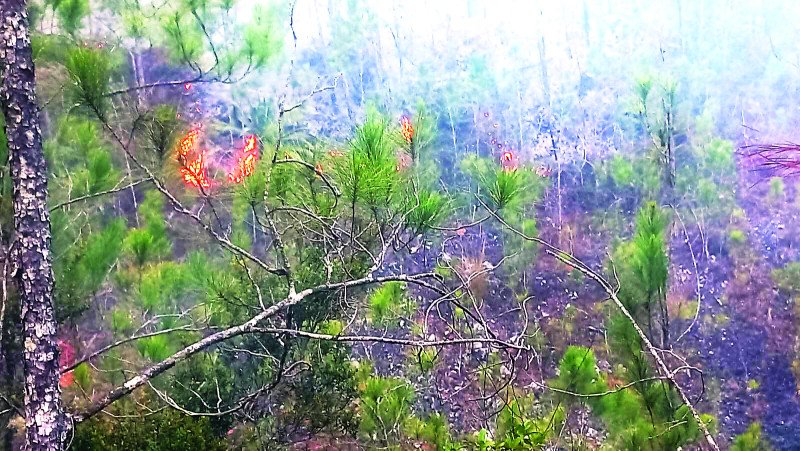 Continúan intensas labores en la Sierra de Bahoruco para contener incendio