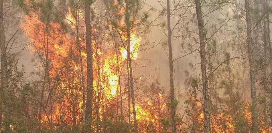 Medio Ambiente encabeza operativo contra incendio forestal en Pelempito-Aceitillar con 175 bomberos desplegados